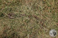 Watermark_27IMG_9155