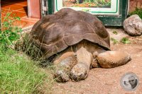 Watermark_38IMG_9166