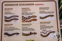 Watermark_42IMG_9170