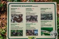 Watermark_43IMG_9171