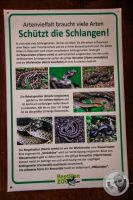 Watermark_44IMG_9172