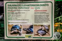 Watermark_45IMG_9173