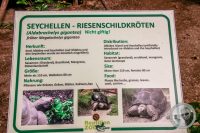 Watermark_46IMG_9174