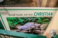 Watermark_48IMG_9176