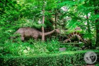 Watermark_49IMG_9177
