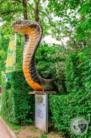 Watermark_4IMG_9132