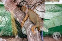 Watermark_51IMG_9179