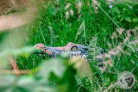 Watermark_66IMG_9194
