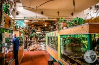 Watermark_8IMG_9136