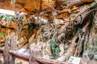 Watermark_9IMG_9137