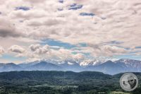 Watermark_25IMG_9209