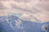 Watermark_35IMG_9219