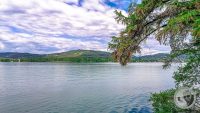 Watermark_3IMG_20260520_113421