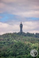 Watermark_8IMG_9197