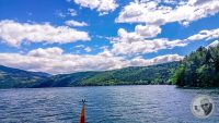 Watermark_46IMG_20260521_135343