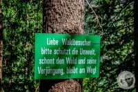 Watermark_100IMG_9321