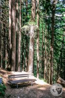Watermark_102IMG_9322