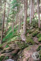 Watermark_104IMG_9324