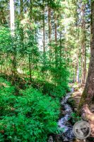 Watermark_106IMG_9326
