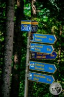 Watermark_108IMG_9328