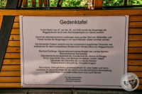 Watermark_11IMG_9237