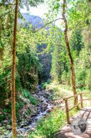 Watermark_14IMG_9240