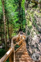 Watermark_16IMG_9242