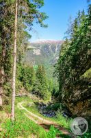 Watermark_19IMG_9245