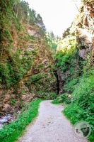 Watermark_20IMG_9246