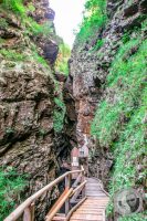 Watermark_22IMG_9248