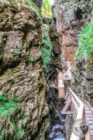 Watermark_23IMG_9249