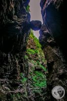 Watermark_24IMG_9250