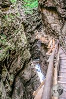 Watermark_25IMG_9251