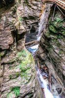 Watermark_31IMG_9255