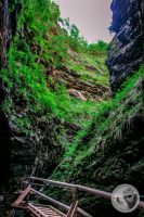 Watermark_32IMG_9256