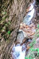 Watermark_36IMG_9260
