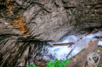 Watermark_38IMG_9262
