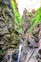 Watermark_39IMG_9263