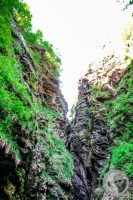 Watermark_40IMG_9264