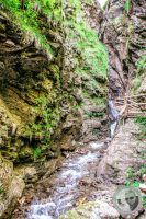 Watermark_41IMG_9265