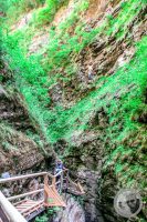 Watermark_42IMG_9266