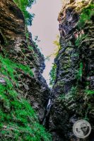 Watermark_43IMG_9267