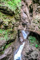 Watermark_45IMG_9269