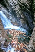 Watermark_48IMG_9272