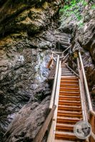 Watermark_49IMG_9273