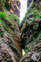 Watermark_55IMG_9279