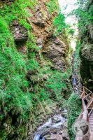 Watermark_60IMG_9284