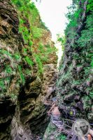Watermark_64IMG_9288