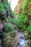 Watermark_65IMG_9289