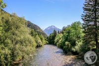 Watermark_6IMG_9232